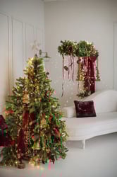 Christmas Photo session Demo picture 3 - Photo Studio Nana