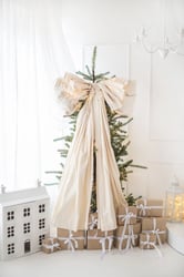 Christmas Photo session Demo picture 7 - Photo Studio Nana