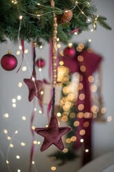 Christmas Photo session Demo picture 11 - Photo Studio Nana